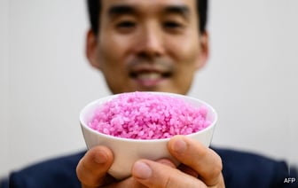 Революционная Еда? Мясо, Добавленное В Отдельные Зернышки Риса В Лаборатории В Сеуле