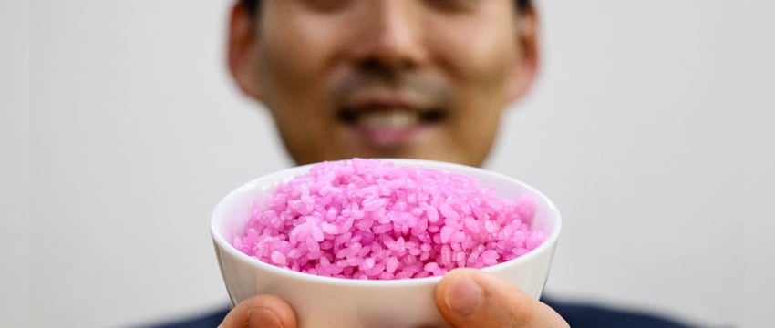 Революционная Еда? Мясо, Добавленное В Отдельные Зернышки Риса В Лаборатории В Сеуле