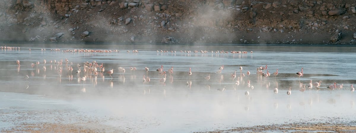 В колонии умер осужденный на три года 63‑летний активист Игорь Ледник
