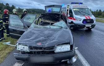 В Брестской области водитель Citroen сбил лося