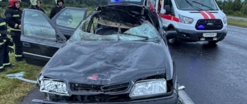 В Брестской области водитель Citroen сбил лося