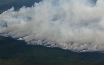 Лесной пожар в Столинском районе ликвидирован