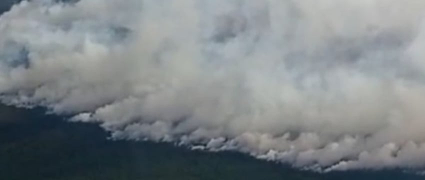 Лесной пожар в Столинском районе ликвидирован