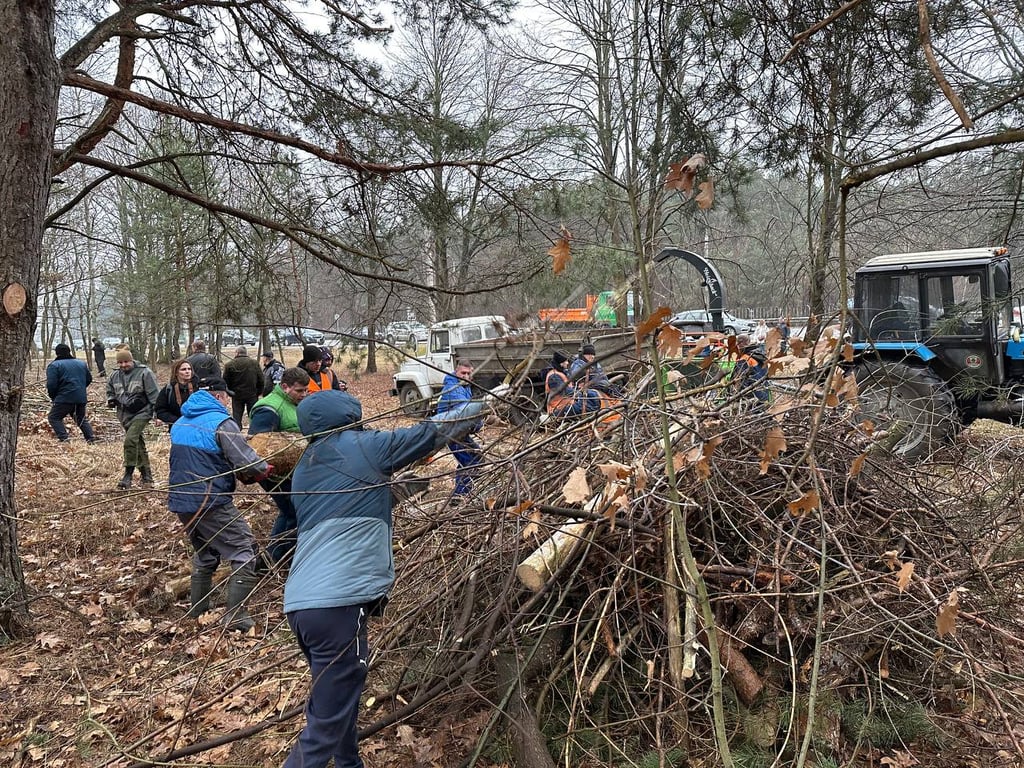 В новом микрорайоне на Лейтенанта Рябцева в Бресте создадут зону отдыха