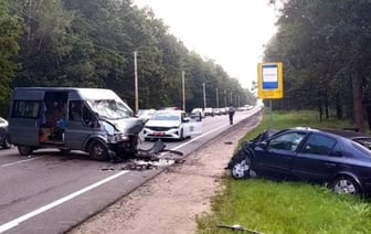 Лось спровоцировал тяжелое ДТП с двумя автомобилями