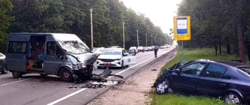 Лось спровоцировал тяжелое ДТП с двумя автомобилями