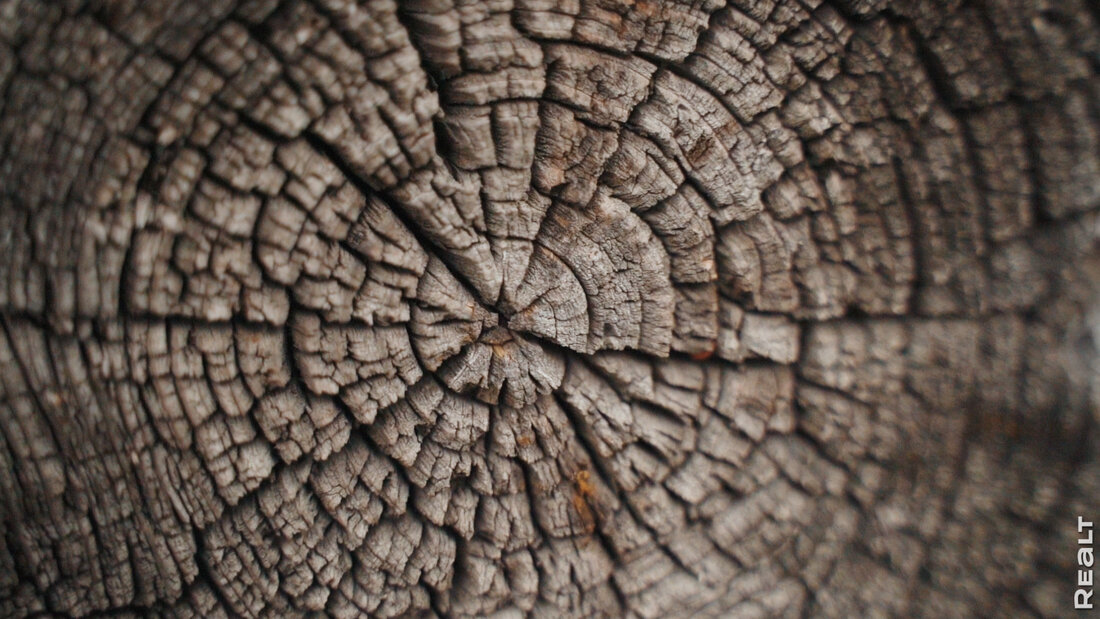 Как молодая семья из Пинска восстанавливает сразу два старых дома в деревне