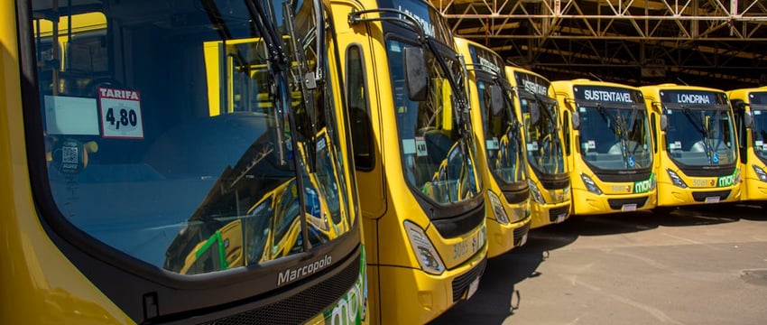 Между Полоцком и Новополоцком введут дополнительные отправления автобусов по маршруту №5