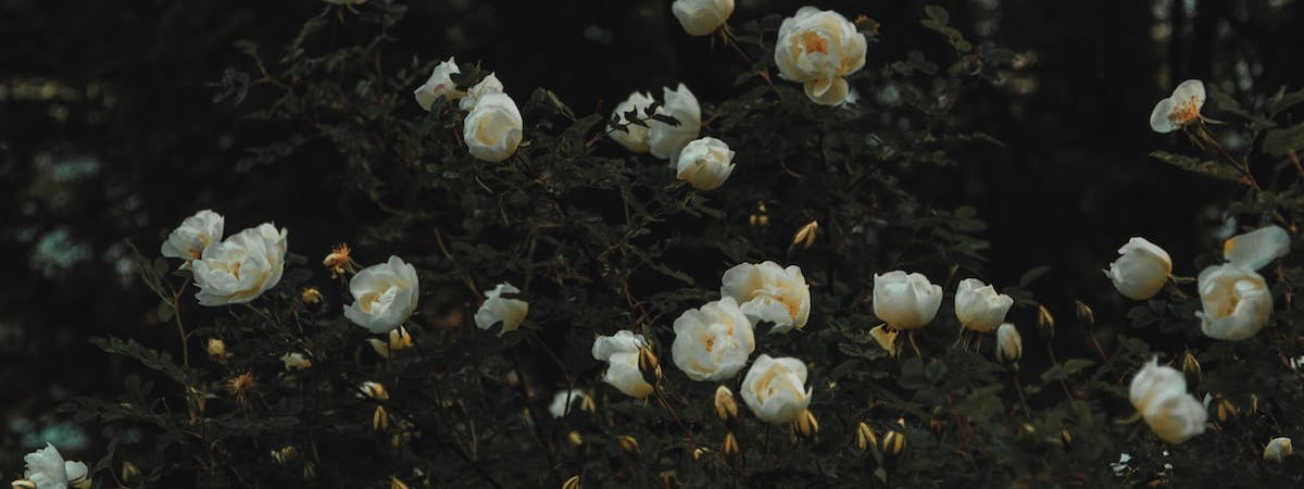 Беларусь откроет посольство в Экваториальной Гвинее