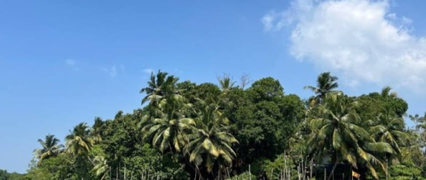 Еще одна страна отменила визы для белорусов