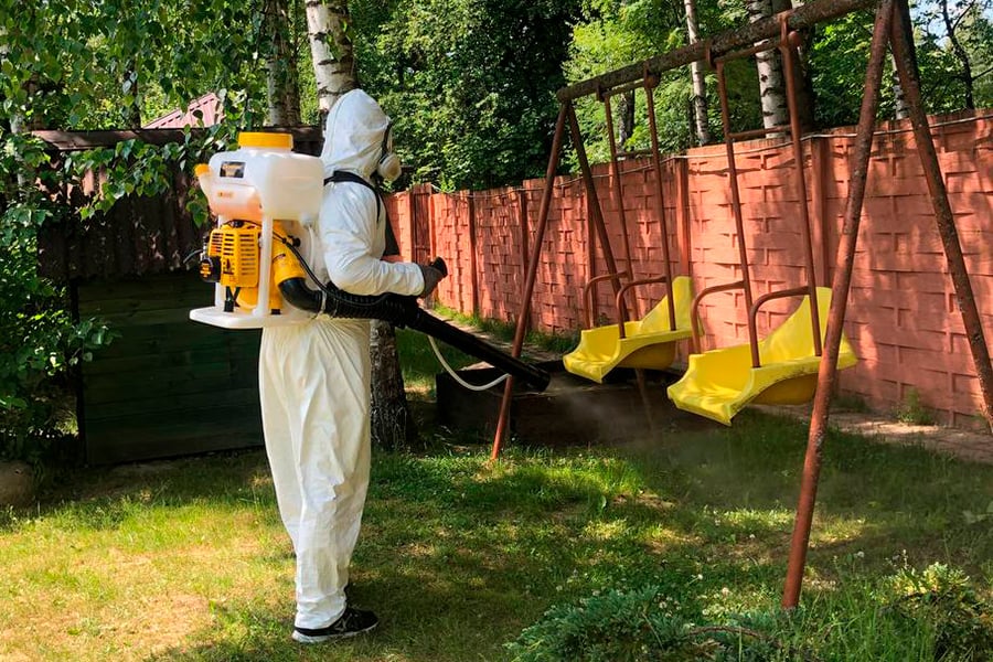 Охотники за тараканами: белорус рассказал, как ведет бизнес по дезинсекции