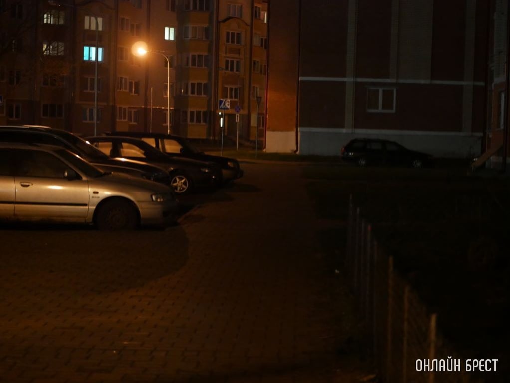 Фото носит иллюстративный характер