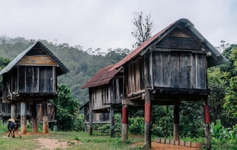В лесах Полоцкого района опять заблудился пенсионер