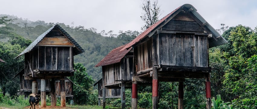 В лесах Полоцкого района опять заблудился пенсионер