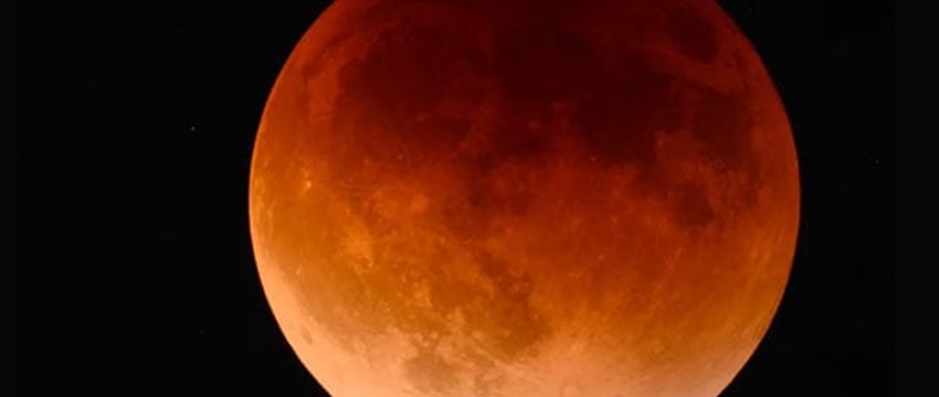 Сегодня вечером можно будет увидеть суперлуние и частичное лунное затмение.