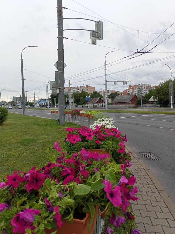 Специалисты ПКУП «Коммунальник» украсили Брест цветами