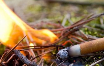 Покурил на 35 тысяч рублей. В Брестской области полностью сгорел ангар с сеном