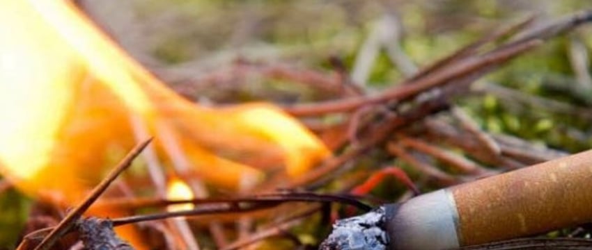 Покурил на 35 тысяч рублей. В Брестской области полностью сгорел ангар с сеном