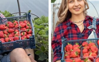 «До $30 тысяч за сезон». Как зарабатывает молодая семья фермеров из Брестской области