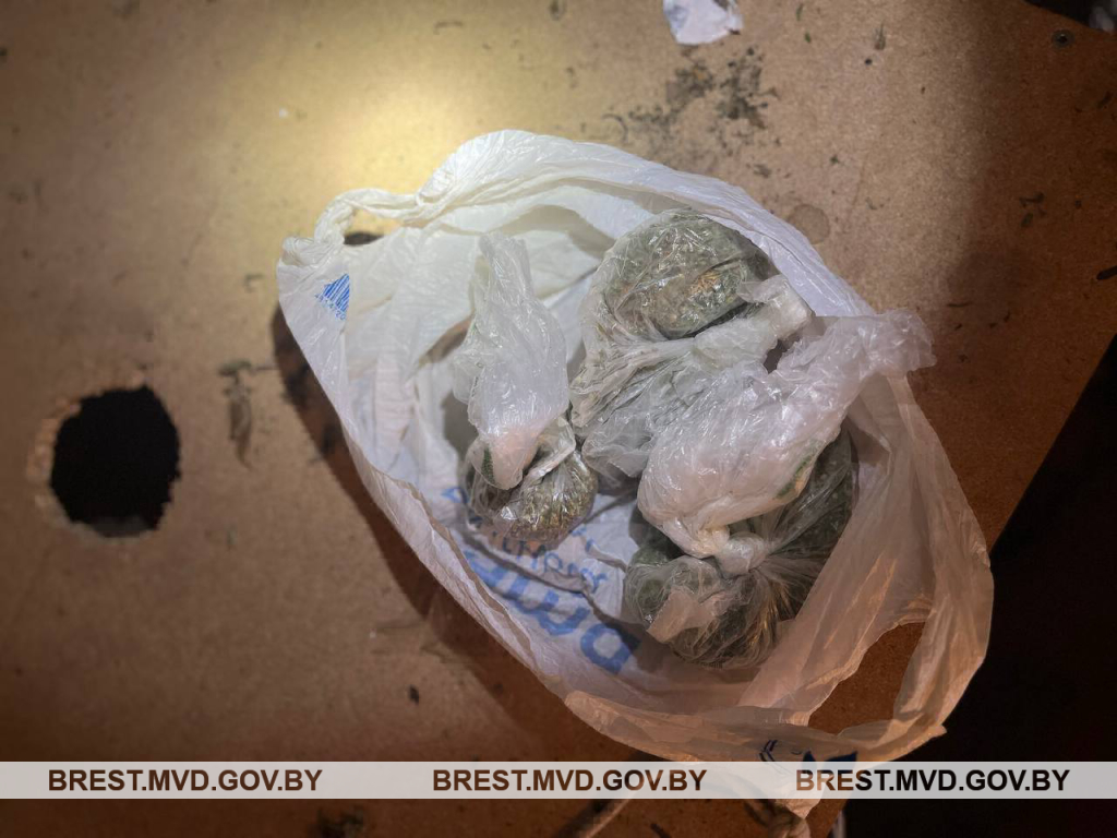 Житель Бреста оборудовал помещение для выращивания конопли