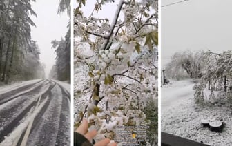 «С Новым годом!» — Белорусы поделились видео заснеженных трасс и садов в конце апреля — Видео