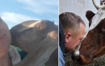 «Три породистые козы стоили, как иномарка»‎. Белорусы переехали из столицы в деревню, чтобы стать сыроварами