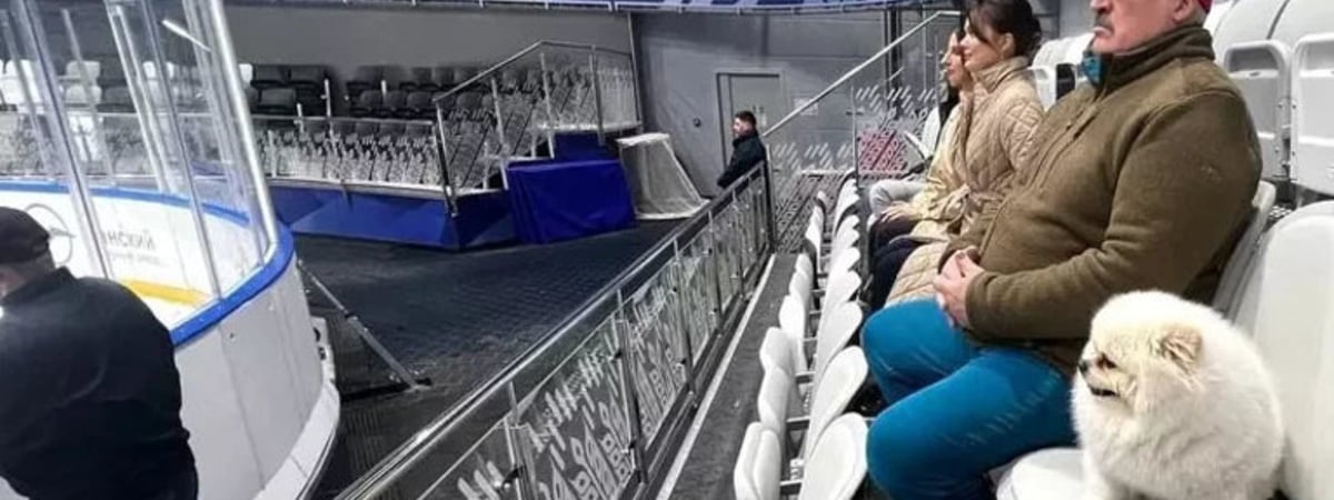 «А, для беленького?» Как чиновники закупали вещи для шпица Умки