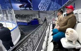 «А, для беленького?» Как чиновники закупали вещи для шпица Умки