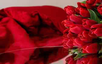 Весенняя красота Новополоцка