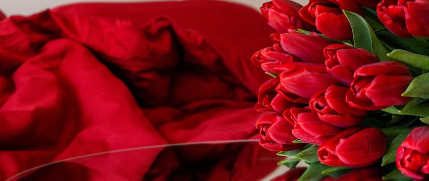 Весенняя красота Новополоцка