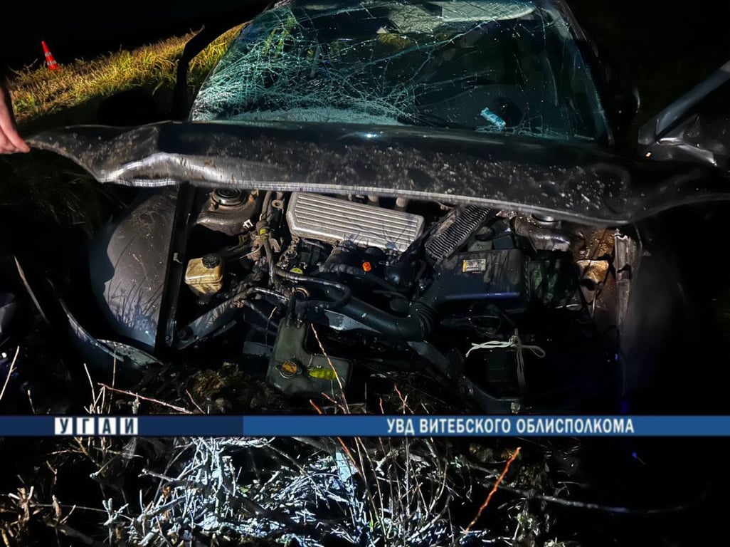 В Полоцком районе погиб водитель легковушки, налетевшей на пень. Фото ГАИ