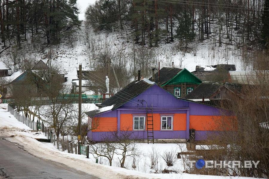 Осторожно, злые соседи. Односельчане стали врагами после нападения собаки