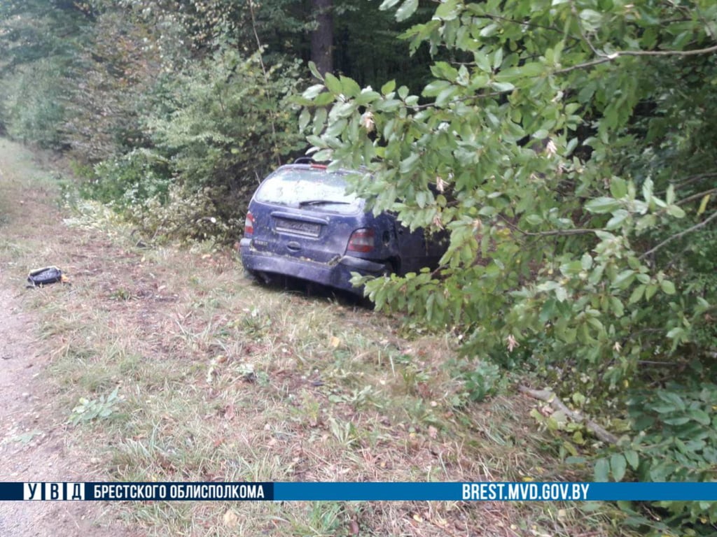 В Ляховичском районе автомобиль врезался в дерево, водитель погиб на месте