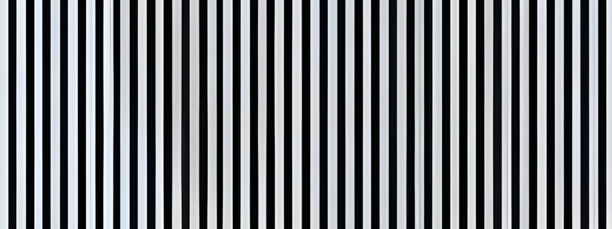 Только 1% людей увидит среди полос картинку? Узнайте, относитесь ли вы к их числу — Видео