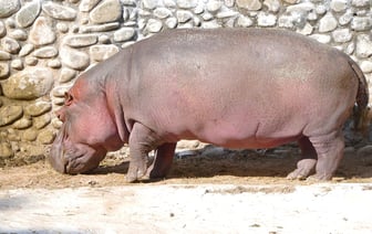 Госстандарт нашел опасные для детей игрушки. Их запретили продавать