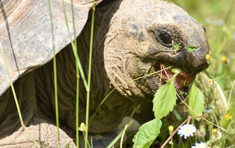 «Тратят время на компьютерные игры» — МИД РФ предупредил США о «серьезном отпоре» в случае ударов западным оружием