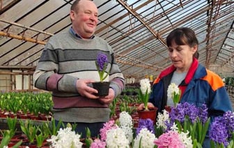 В Бресте планируют высадить более 500 тысяч цветов