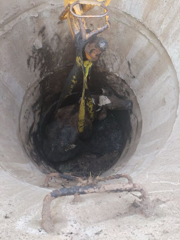 Корова упала в колодец — вот как ее доставали