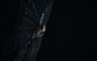 «Известная формула «украл-выпил-в тюрьму» трансформировалась»