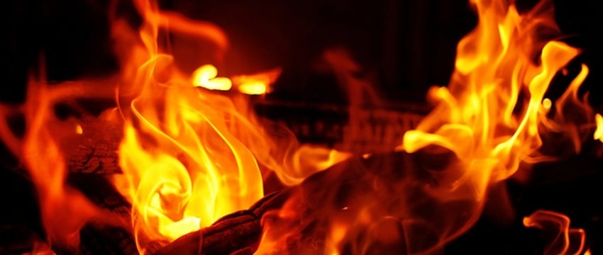 В результате взрыва на заводе по производству текилы в Мексике погибли пять человек.