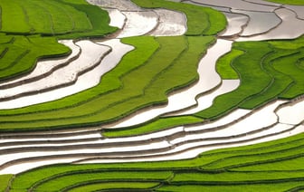 Власти Польши договорились с фермерами о снятии блокады границы с Украиной