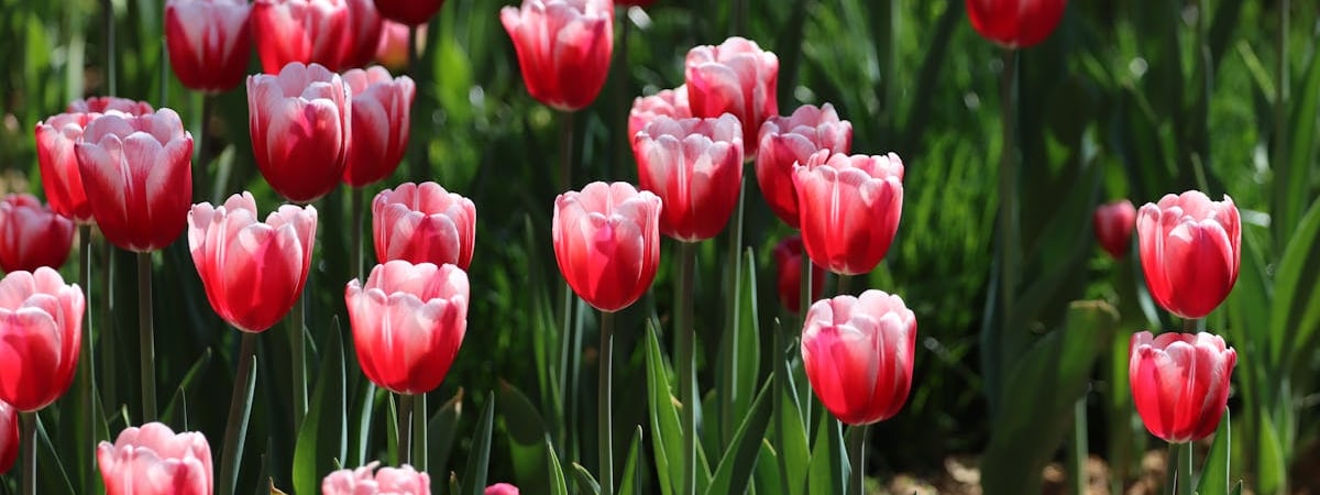 Рост ВВП Китая в 2023 году составил 5,2%