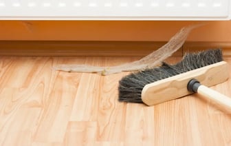 Как навсегда избавиться от паутины в доме? Эти 7 простых способов на выбор помогут прогнать пауков — Полезно