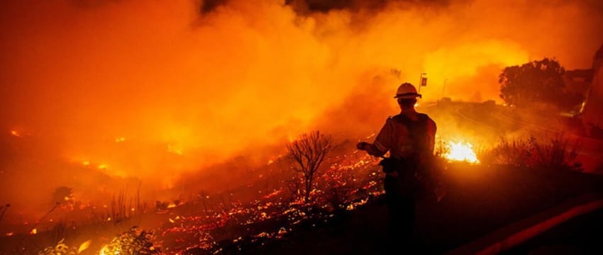 Ущерб от пожаров в Калифорнии достиг 275 млрд долларов