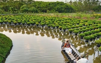 Еще одна страна ввела безвиз для белорусов
