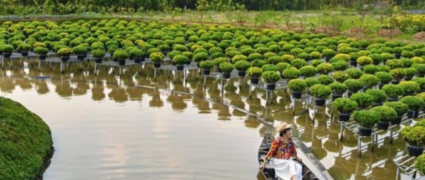 Еще одна страна ввела безвиз для белорусов