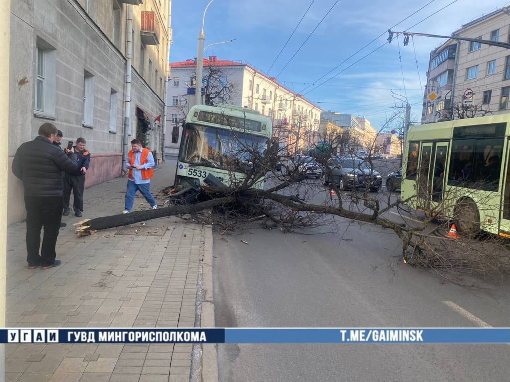 Троллейбус с пассажирами снес дерево в Минске — это попало на видео