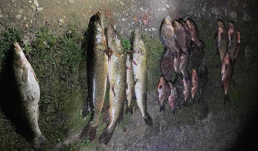 Два белоруса нарыбачили на уголовку: узнали подробности