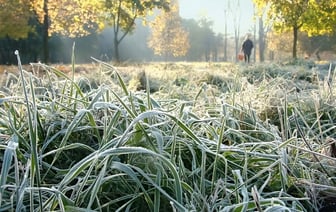 Синоптики предупредили белорусов о первых ночных заморозках. Где и когда ждать до -2°С? — Фото