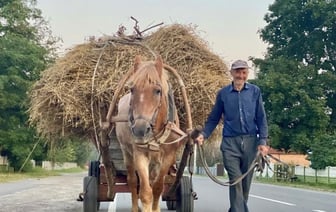 В Минтруда Беларуси рассказали, где больше всего долгожителей